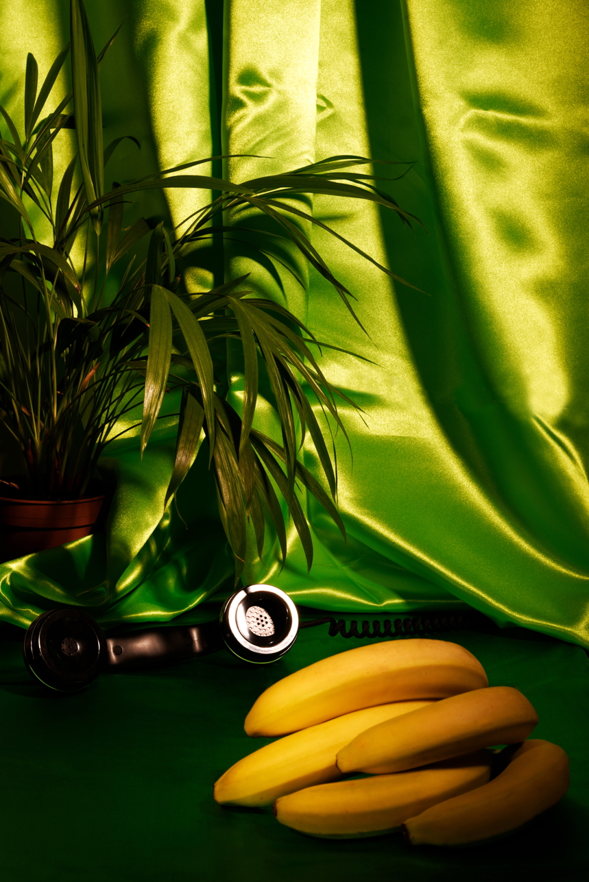 thélephoneplamplemousse