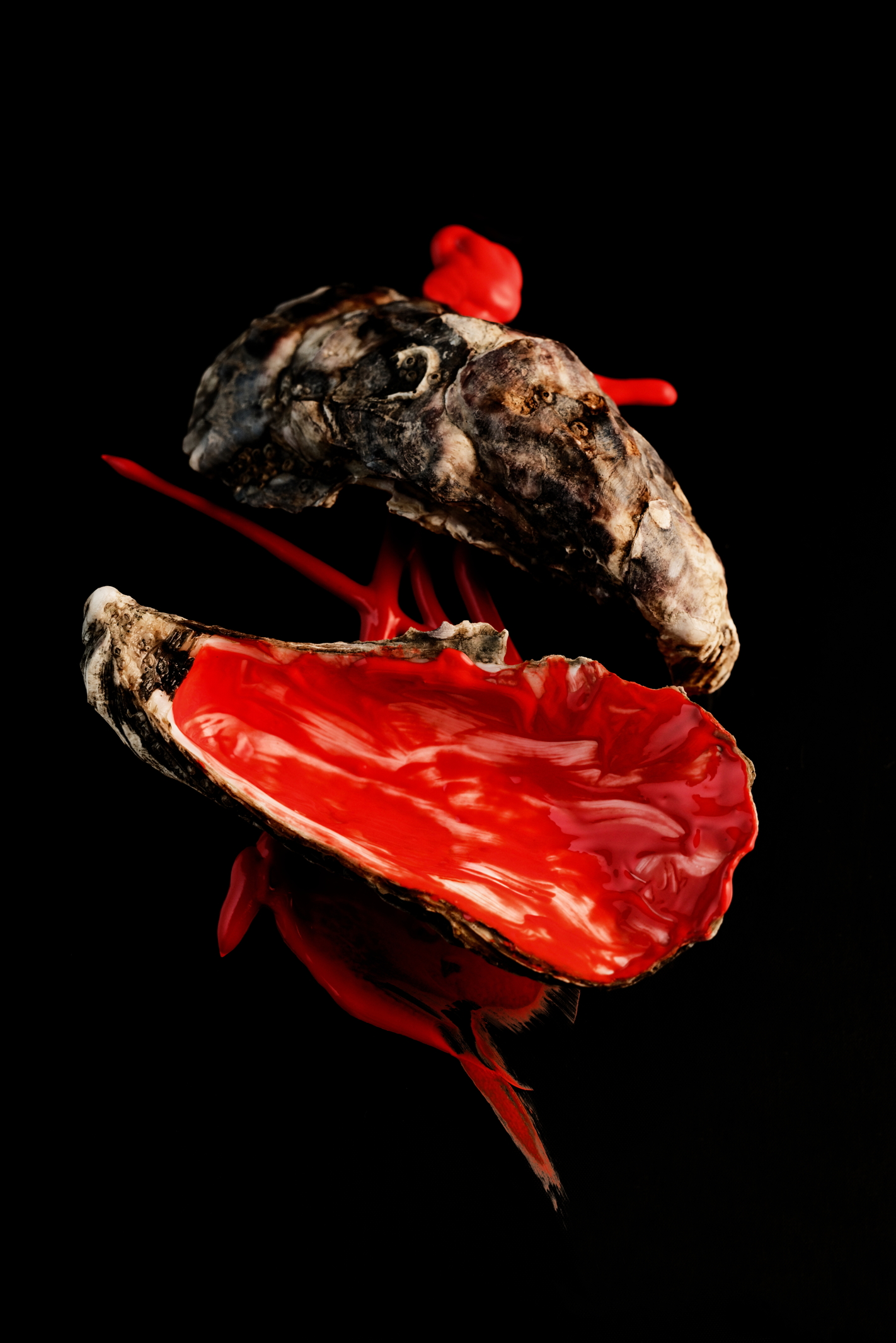 concombre noiretblanc