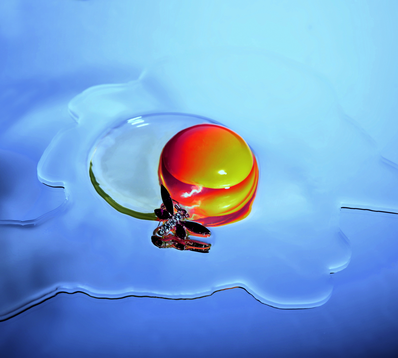 oeuf libellule%20copie